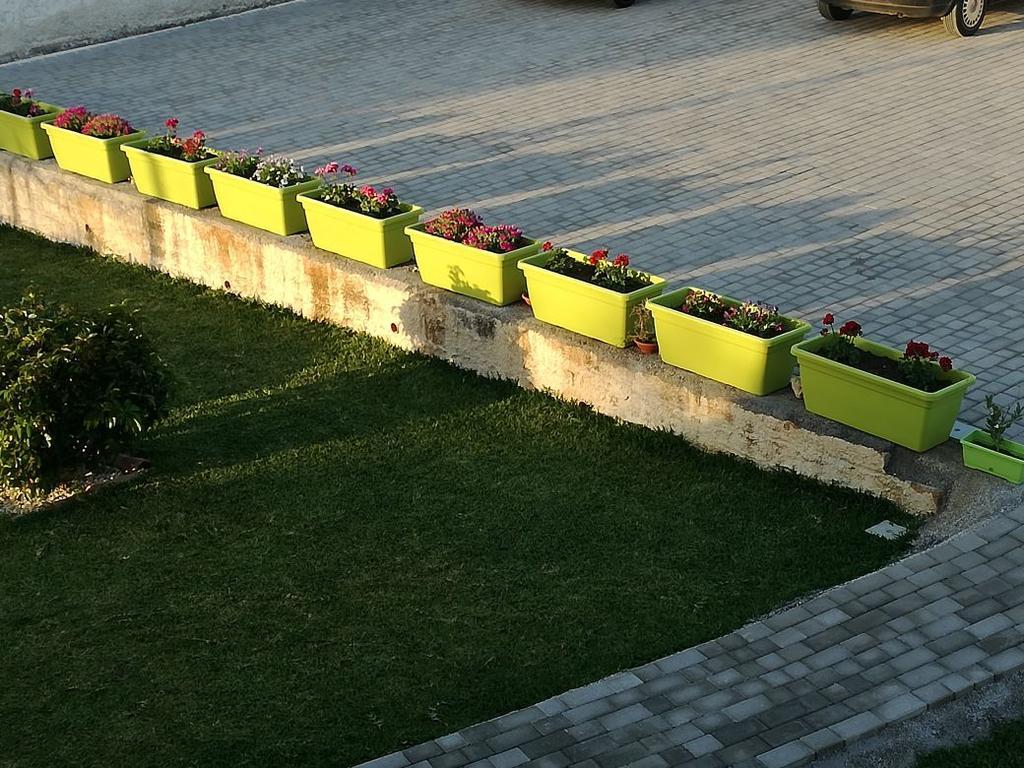 La Casa Delle Farfalle Panzió Szirakúza Kültér fotó